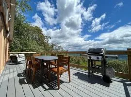 Modern Mountaintop Cabin with a gorgeous view