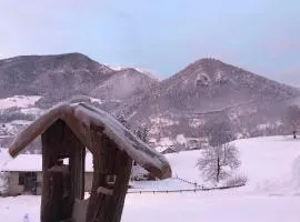 Holiday Homes in Tiarno di Sotto - Ledrosee 22703