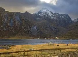 Heimly, cosy house in a fjord
