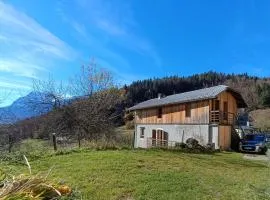 Chalet paisible à 4km de la station des Carroz - Chalet St François de Sales