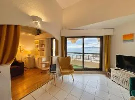 Appartement vue mer et front de mer avec terrasse