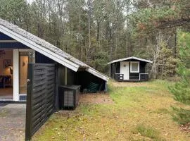 Pet Friendly Home In Oksbøl With Wifi