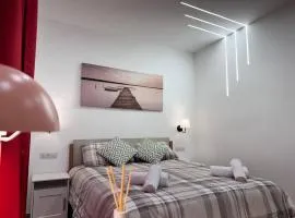 Cozy apartment near downtown