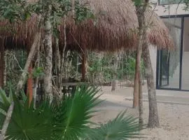 Casabel Tulum jungle experience