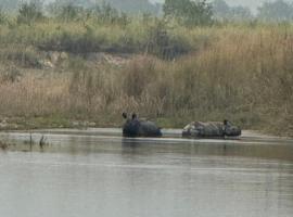 Good Karma Homestay, holiday rental in Bhurkīā