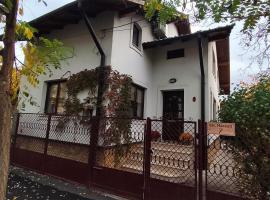 Casa Paul, homestay in Craiova