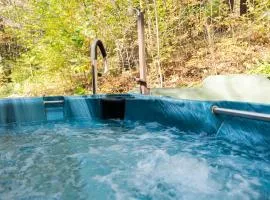 Hot Tub, Wood-burning Fireplace and 4 acres of Forest in Margaretville