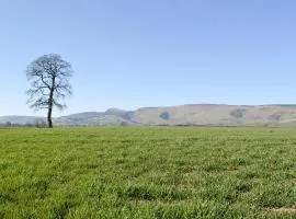 Upper Close - Uk10873