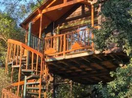 Casa de árbol Quillón