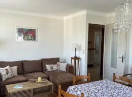 Appartement spacieux à Évian avec parking et animaux admis - FR-1-498-4
