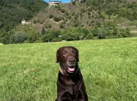 Ferienhaus Leopold mit Burgblick an der Mosel