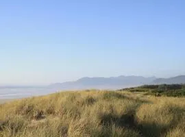 Downtown pet friendly wood cabin