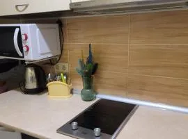 Apartment in the city centr Bursatsky descent