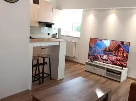 Apartament w Słupcu na Radkowskiej