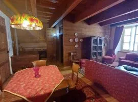 Apartment with fireplace near the Vauban City