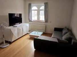 Helle, gemütliche Wohnung an der grenze vom Deutschland