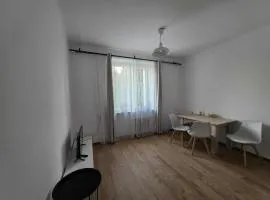 Kawalerka Krasińskiego