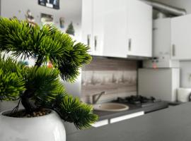 Apartament Cosmina's Dream, Hotel in Turnişor