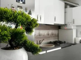 Apartament Cosmina's Dream