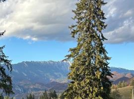 Virajlux, Hotel in Dâmbovicioara