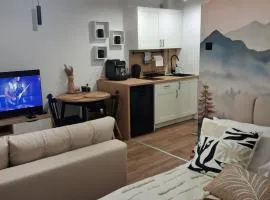 Studio Pieniny Szczawnica