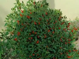 bb casa vacanza il villaggio