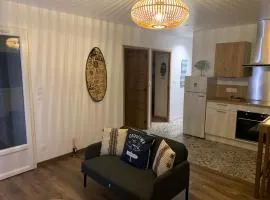 Magnifique maison neuve Mimizan plage proche océan