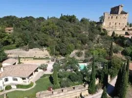 Villa With Pool In Châteauneuf-Du-Pape
