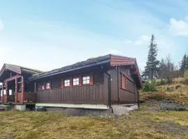 4 Bedroom Gorgeous Home In Rjukan