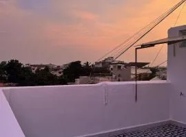 Spacious 1BHK with a beautiful private terrace