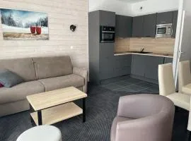 Charmant studio à Gourette avec piscine et animaux admis, pour 6 personnes - FR-1-860-26