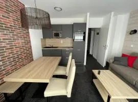 Studio à Gourette - 4 pers, Animaux admis, Piscine - FR-1-860-48