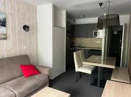 Studio cosy à Gourette, piscine et animaux admis - FR-1-860-46