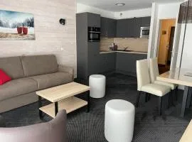 Studio à Gourette - 4 pers, terrasse, animaux admis - FR-1-860-43