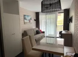 Studio 4 pers avec piscine à Gourette, animaux acceptés - FR-1-860-55