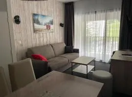 Gourette - 4 pers, 29 m2, 1/0 - FR-1-860-49