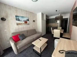 Studio à Gourette pour 4 pers, 29m² avec terrasse et piscine - FR-1-860-56