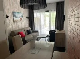 Studio 4 pers, piscine, animaux admis, Gourette - FR-1-860-52