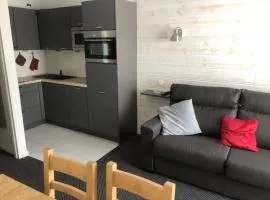 Studio confort 4/5 pers, vue pistes, animaux admis - FR-1-859-13