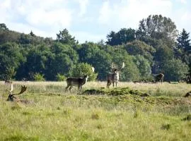 Middelfart Home- nearby free waterpark access