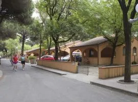 Houses and Apt. in Lido di Spina 21292