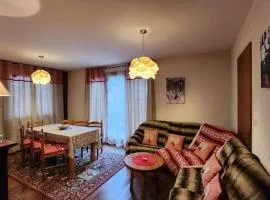 Appartement spacieux 4 chambres avec balcon près de Châtel - FR-1-692-112