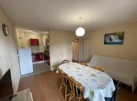 Spacieux T2 avec balcon près des pistes au Lioran - FR-1-787-134