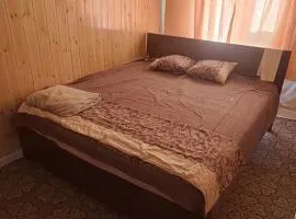 Zebra Guest House