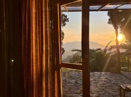 The Palace Eco Cottage, vila v destinaci Ella