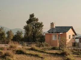 The Attic Library by AVVAs Stays
