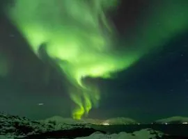 Northern Lights View Beautiful Berg