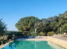 Piccolo Paradiso - Riparbella