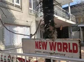 New World Guest House