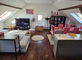 Appartement proche Strasbourg